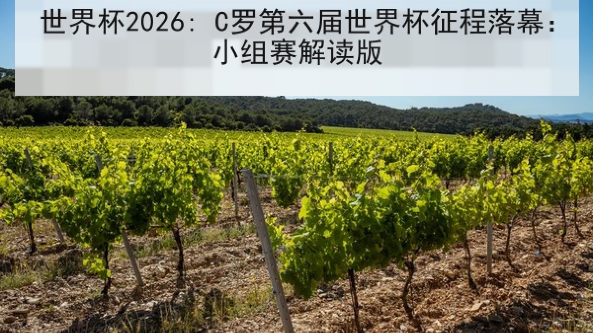 世界杯2026: C罗第六届世界杯征程落幕：小组赛解读版