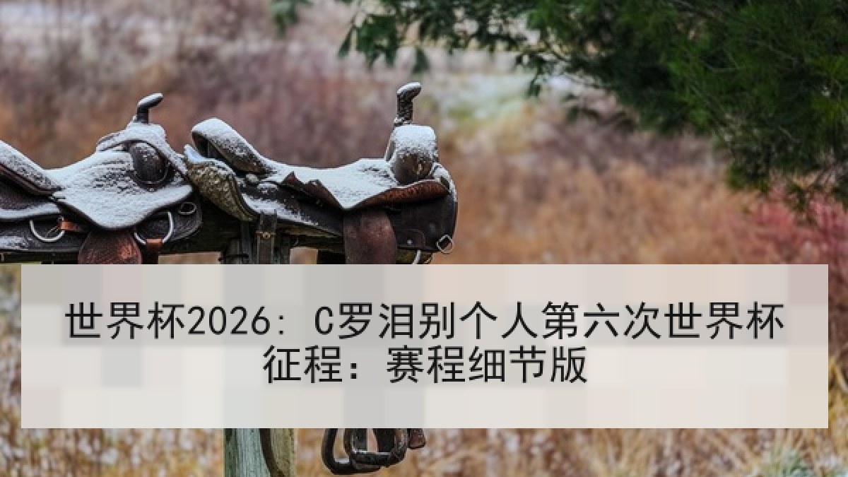 世界杯2026: C罗泪别个人第六次世界杯征程：赛程细节版