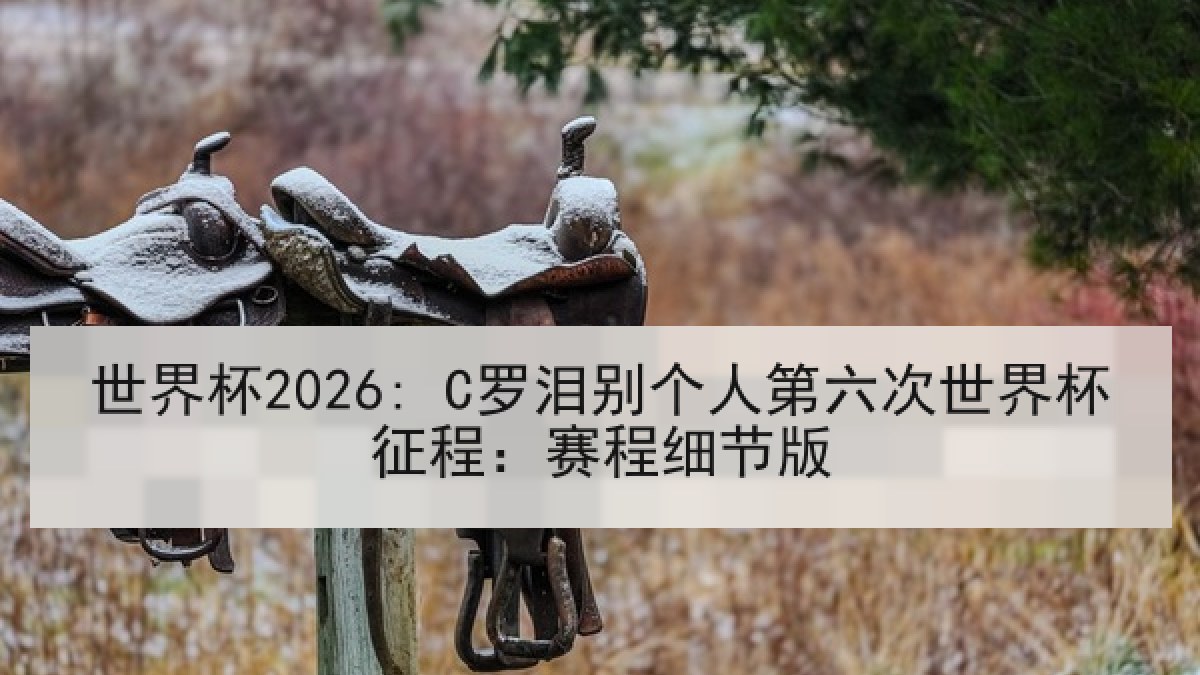 世界杯2026: C罗泪别个人第六次世界杯征程：赛程细节版