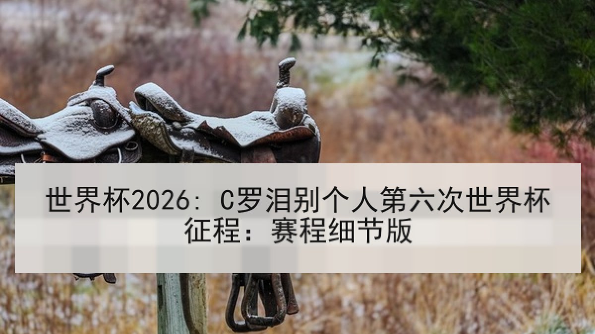世界杯2026: C罗泪别个人第六次世界杯征程：赛程细节版