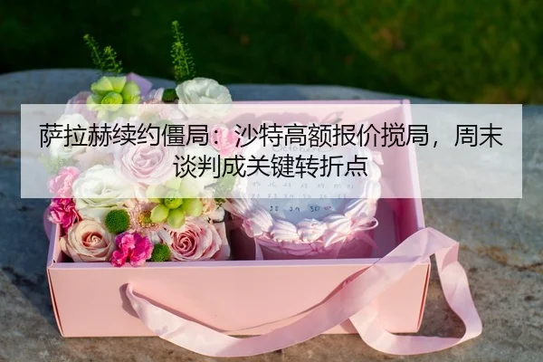 sa-la-he-xu-yue-jiang-ju-sha-te-gao-e-bao-jia-jiao-ju-zhou-mo-tan-pan-cheng-guan-jian-zhuan-zhe-dian-3-281.jpg