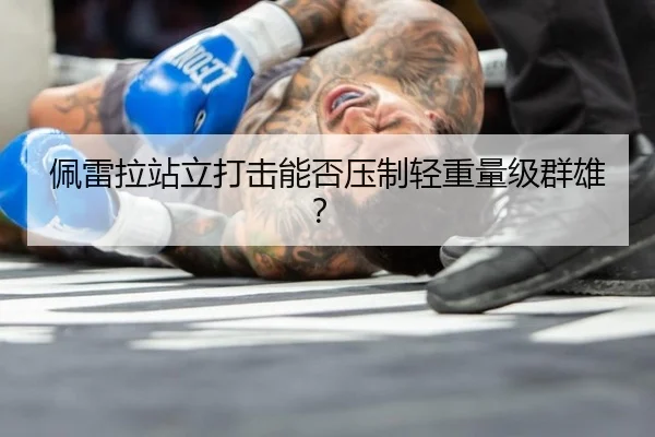 佩雷拉站立打击能否压制轻重量级群雄？