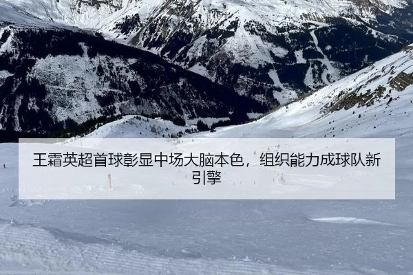 wang-shuang-ying-chao-shou-qiu-zhang-xian-zhong-chang-da-nao-ben-se-zu-zhi-neng-li-cheng-qiu-dui-xin-yin-qing-3-122.jpg