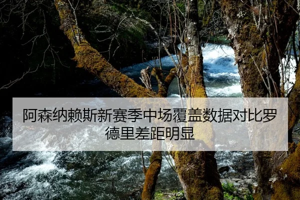 阿森纳赖斯新赛季中场覆盖数据对比罗德里差距明显